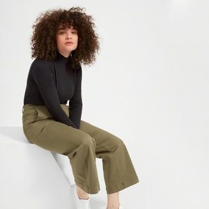 Everlane black pima stretch turtleneck